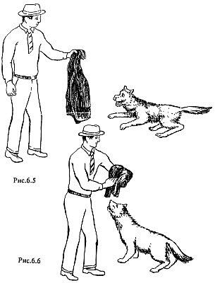 Предплечье левой руки обмотанное пиджаком направьте в пасть собаки второй - фото 31