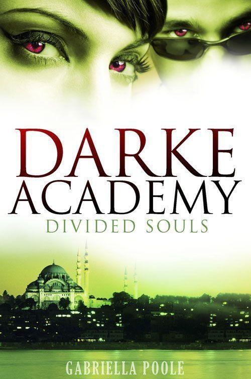 The Darke Academy series 1 Secret Lives - фото 2