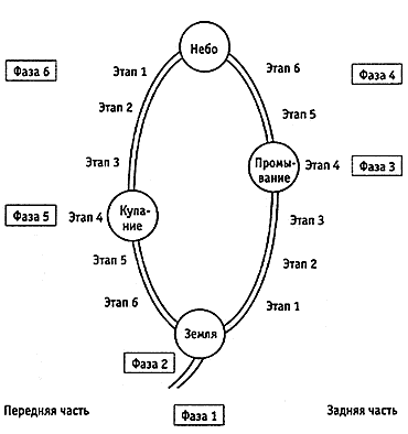 Схема круговорота жизненной энергии На рисунке изображен круговорот энергии в - фото 33