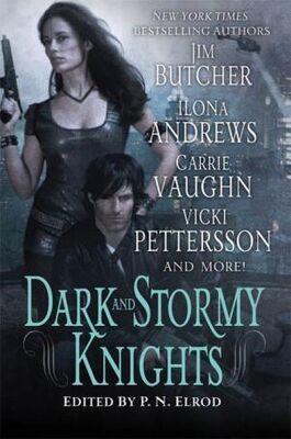 Ilona Andrews Dark and Stormy Knights