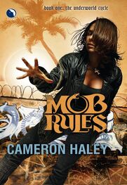 Cameron Haley: Mob rules