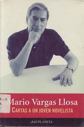 Mario Llosa: Cartas A Un Joven Novelista