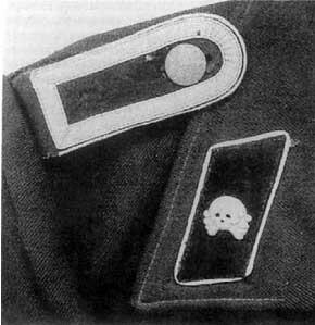 Знаки различия на танкистской куртке дивизии Герман Геринг Хорошо видны - фото 57