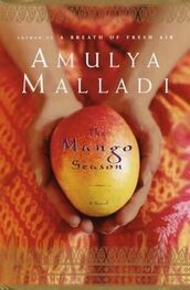 Amulya Malladi: The Mango Season