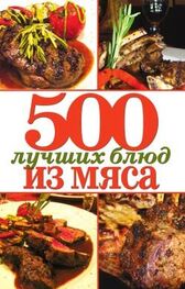 Михаил Зубакин: 500 лучших блюд из мяса