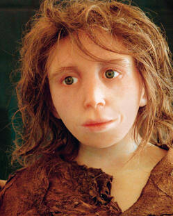 3 A speculative reconstruction of a Neanderthal child Genetic evidence hints - фото 4