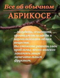 Иван Дубровин: Все об обычном абрикосе
