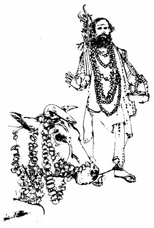 Индус с украшенной гирляндами священной коровой на празднике ГайТимар 2 - фото 5