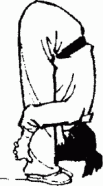 Шуайяо пружинящие полунаклоны Из положения ноги на ширине плеч выведите - фото 27