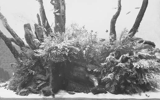 Основу аранжировки аквариума в стиле райюбоку составляют коряги размер - фото 7