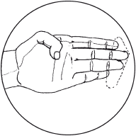 Концы вторых фаланг полусжатого кулака Согнутые пальцы плотно прижаты к - фото 5