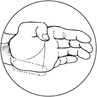 Тыльная часть кулака Ударной частью может служить область указательного и - фото 8