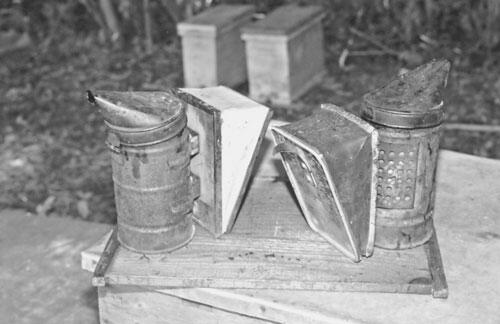 Справочник по домашнему пчеловодству - фото 122