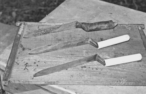 Пасечные ножи Ванночка для промывки пчелоинвентаря после откачки меда Станица - фото 124