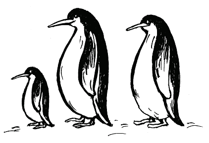 Имитировать движения пингвинов шагать по кругу ЗА ГРИБАМИ Вырос у дорожки - фото 27