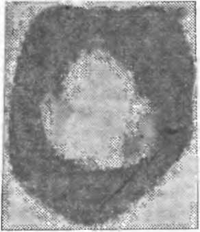 Рис 1 Фотография алюминиевой медали в лучах урана снятая Беккерелем - фото 4