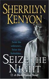 Sherrilyn Kenyon: Seize The Night