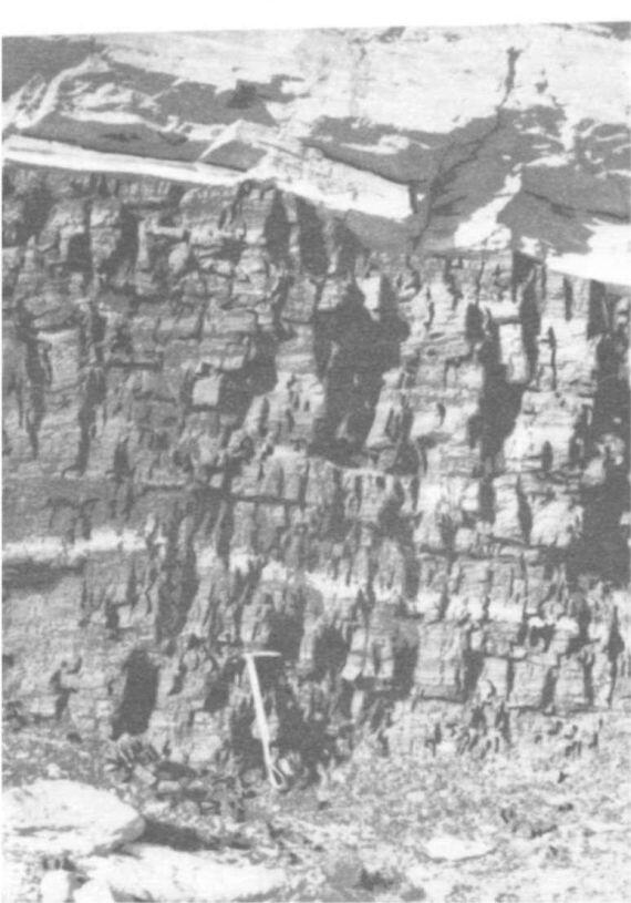 Мощный пласт угля в горах Принца Чарльза Вехи познания Изучению сурового и - фото 3