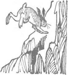 За кроликом вышел олень Он разбежался и стрелою взвился в воздух Но и олень - фото 108