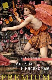 Антония Байетт: Ангелы и насекомые (сборник)