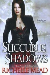 Richelle Mead: Succubus Shadows