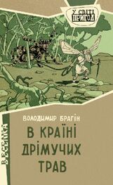 Владимир Брагин: В країні дрімучих трав