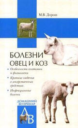 Мария Дорош: Болезни овец и коз