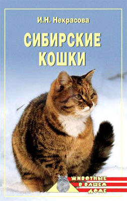 Ирина Некрасова Сибирские кошки