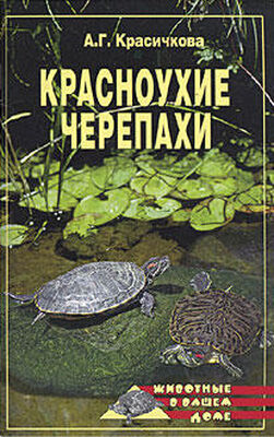 Анастасия Красичкова Красноухие черепахи