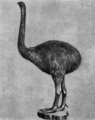 04 Некоторые моа новозеландские страусы были ростом выше слона Но они тоже - фото 5