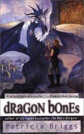 Patricia Briggs: Dragon Bones