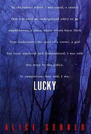 Alice Sebold: Lucky