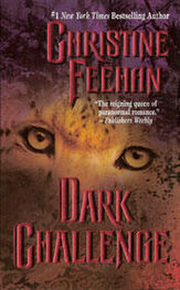 Christine Feehan: Dark Challenge (Dark Series - book 5)