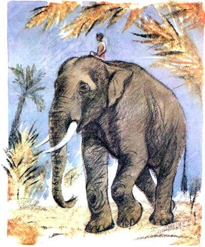 У одного индийца был слон Хозяин дурно кормил его и заставлял много работать - фото 6