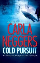 Carla Neggers: Cold Pursuit