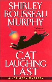 Shirley Murphy: Cat Laughing Last