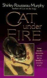Shirley Murphy: Cat Under Fire