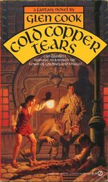Glen Cook: Cold Copper Tears