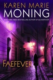 Karen Moning: Faefever