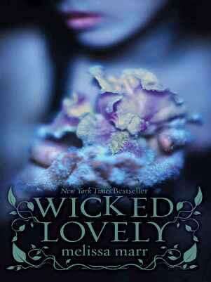 WICKED LOVELY Tattoo Faeries Series Book 1 Melissa Marr For Loch - фото 1