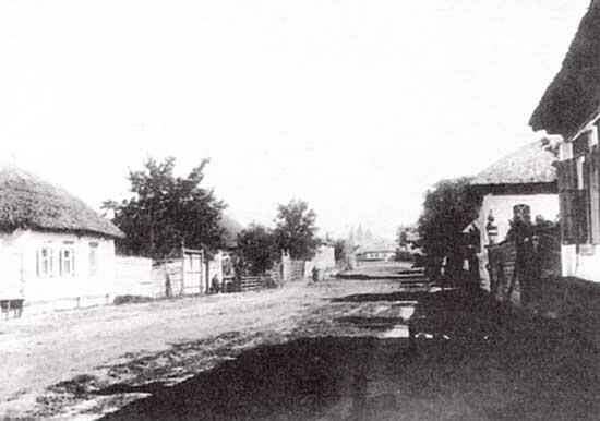 Улица в Острогожске с домом второй слева с палисадником в котором провел - фото 3
