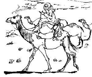 Выпас верблюдов Аравия огромная страна Значительную ее часть занимают - фото 2