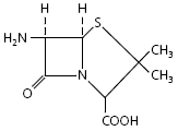 Синтезируется грибамирода Penicillium Получена в чистом виде в 1940 г Для - фото 2