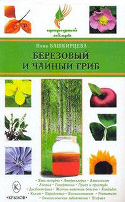 Нина Башкирцева Березовый и чайный гриб