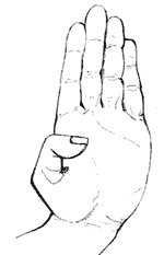2 Кулак Пальцы плотно прижаты друг к другу и собраны вовнутрь Большой палец - фото 2