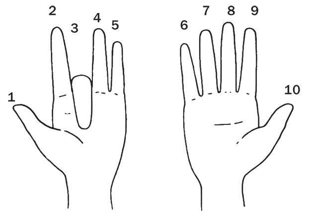 Чтобы умножить 9 на 3 согните третий палец а затем посчитайте количество - фото 72