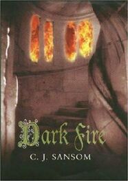 C. Sansom: Dark Fire