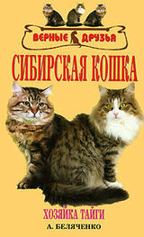 Андрей Беляченко: Сибирская кошка