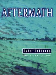 Peter Robinson: Aftermath