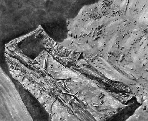 Ильмовая падь Сруб одной из раскопанных могил Ильмовые Ильмовыевязовые - фото 51